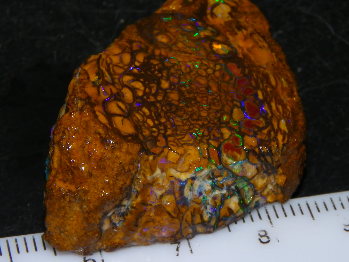 Nice Quality Koroit Opal Rough Slice 107.5cts Green/Blue Fires Nut/Specimen/Chunk Au