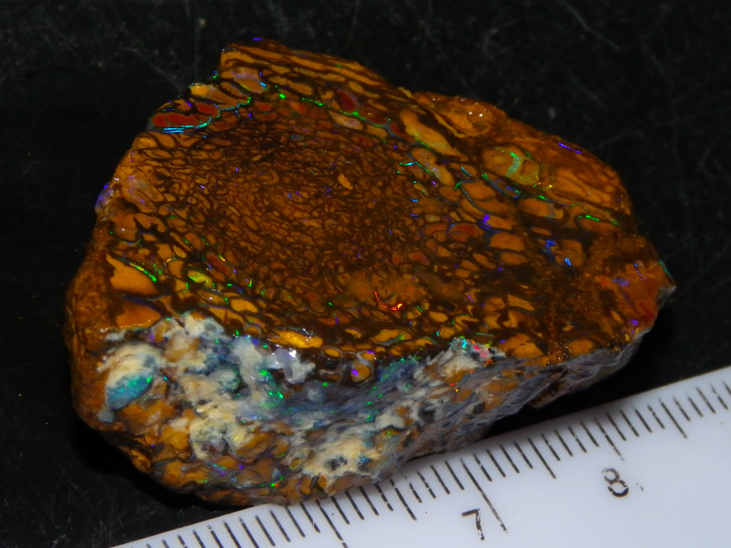 Nice Quality Koroit Opal Rough Slice 107.5cts Green/Blue Fires Nut/Specimen/Chunk Au