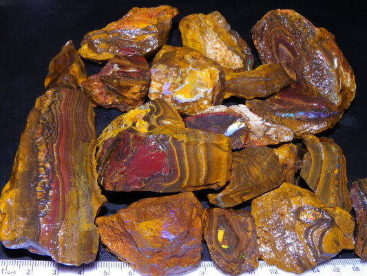 Large Parcel of Koroit Opal Rough/Specimens 4473cts Queensland Au Nuts/Patterns