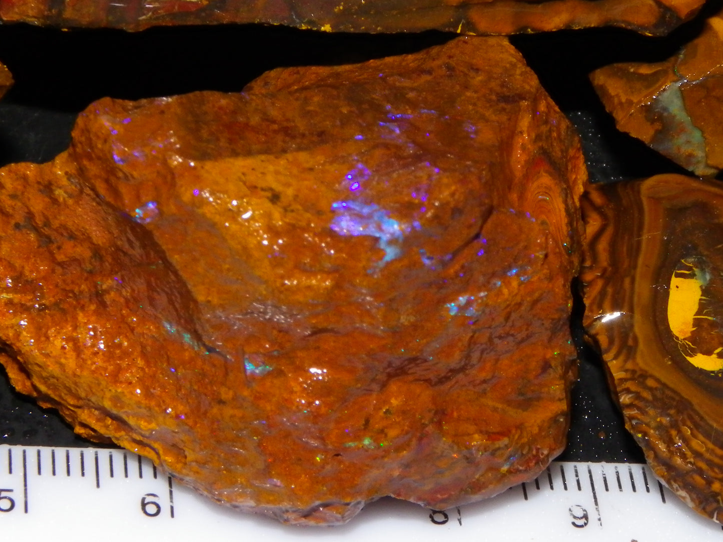 Large Parcel of Koroit Opal Rough/Specimens 4473cts Queensland Au Nuts/Patterns