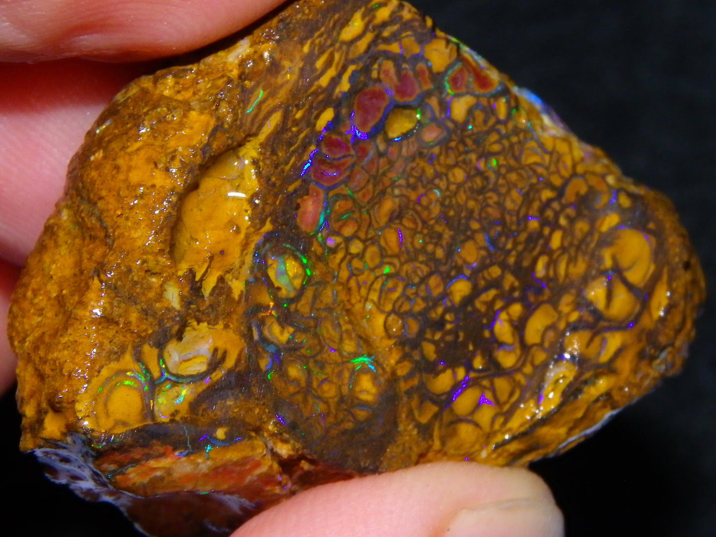 Nice Quality Koroit Opal Rough Slice 107.5cts Green/Blue Fires Nut/Specimen/Chunk Au