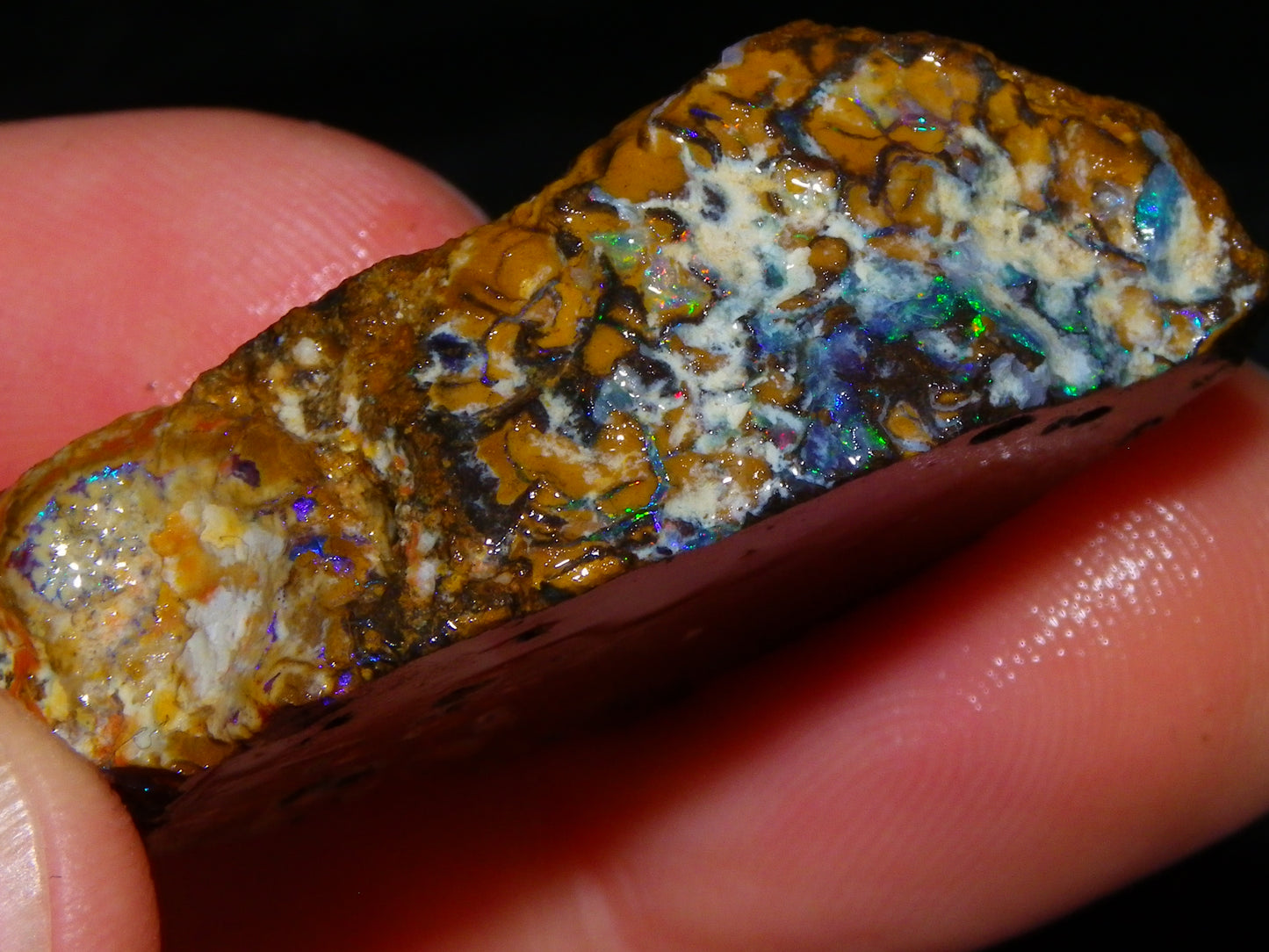 Nice Quality Koroit Opal Rough Slice 107.5cts Green/Blue Fires Nut/Specimen/Chunk Au