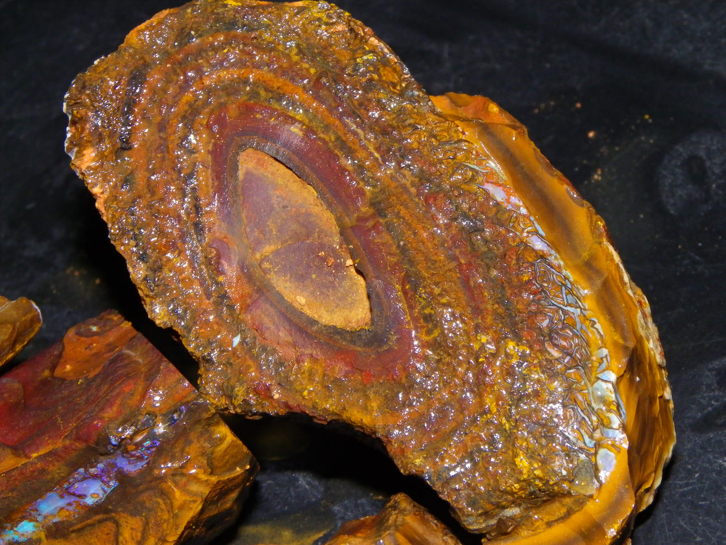 Large Parcel of Koroit Opal Rough/Specimens 4473cts Queensland Au Nuts/Patterns