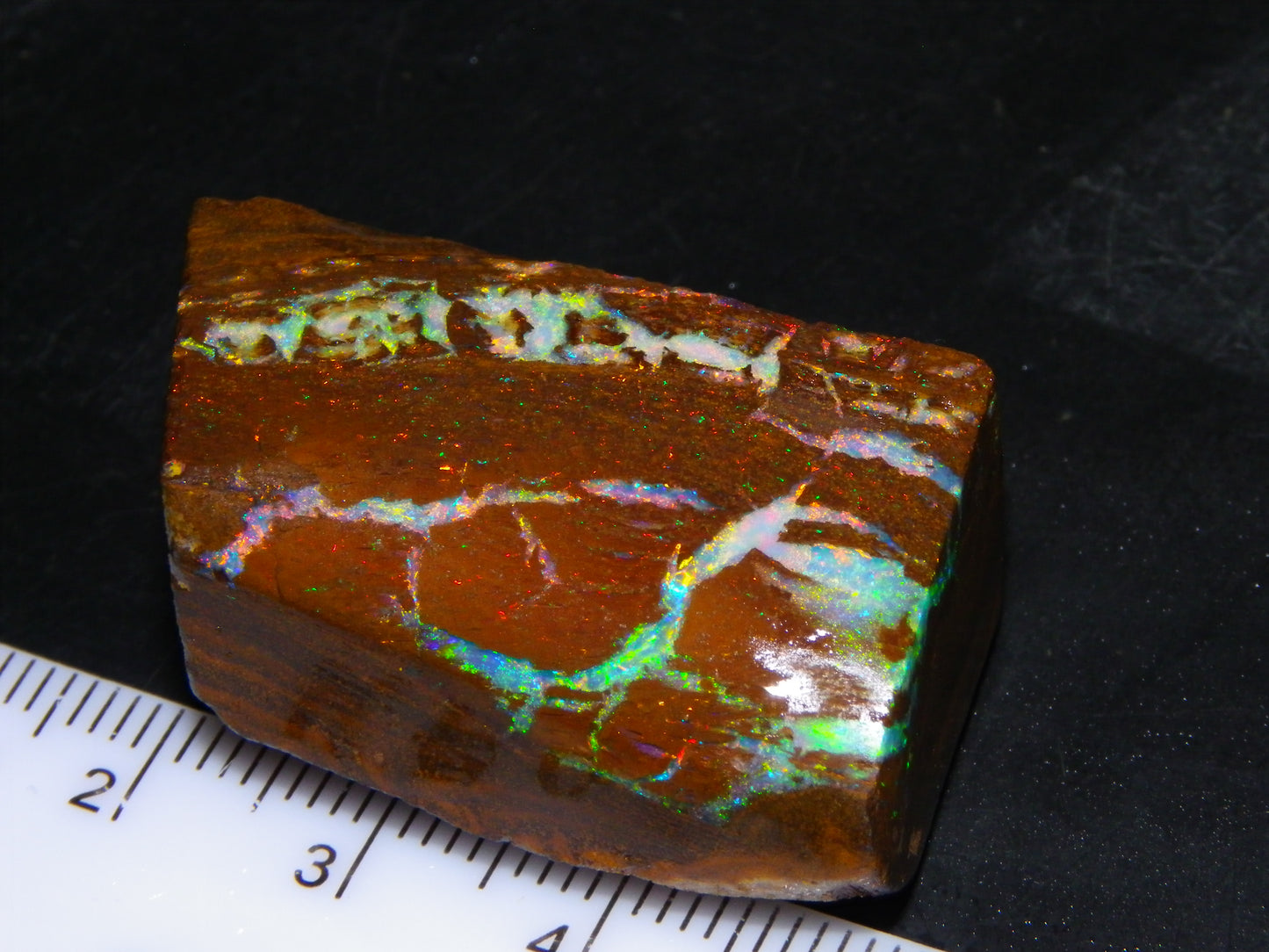 Very Nice Koroit Opal Rub/Rough 106.5cts Fossil/Pattern Gem Fires Qld Australia