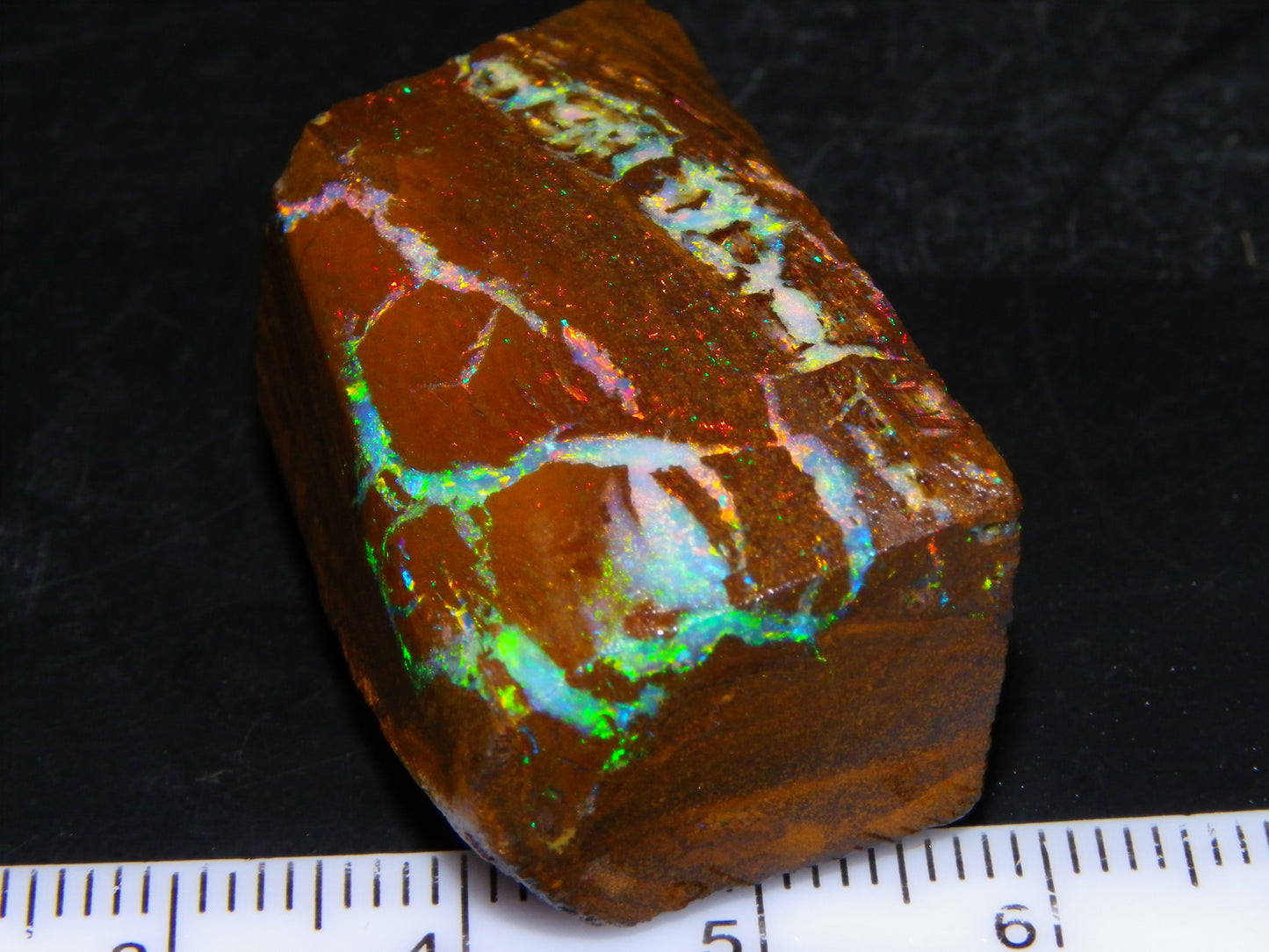 Very Nice Koroit Opal Rub/Rough 106.5cts Fossil/Pattern Gem Fires Qld Australia