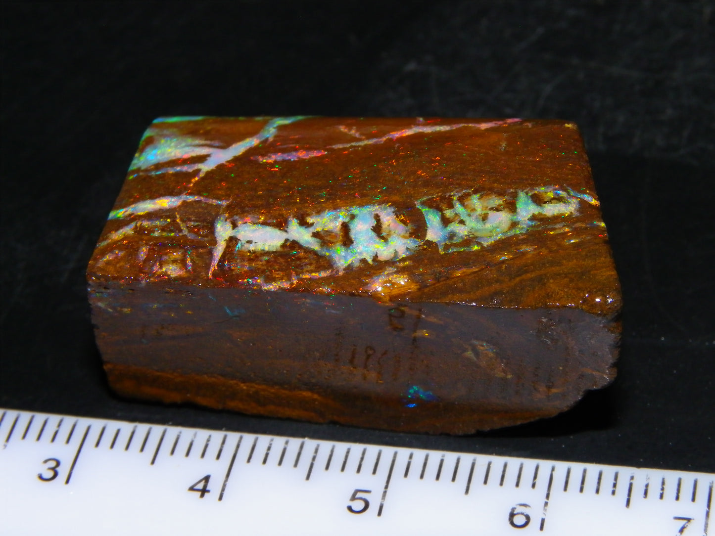 Very Nice Koroit Opal Rub/Rough 106.5cts Fossil/Pattern Gem Fires Qld Australia