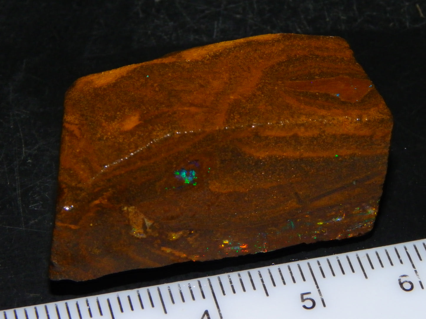 Very Nice Koroit Opal Rub/Rough 106.5cts Fossil/Pattern Gem Fires Qld Australia