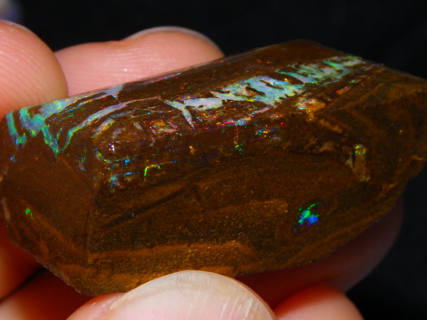 Very Nice Koroit Opal Rub/Rough 106.5cts Fossil/Pattern Gem Fires Qld Australia