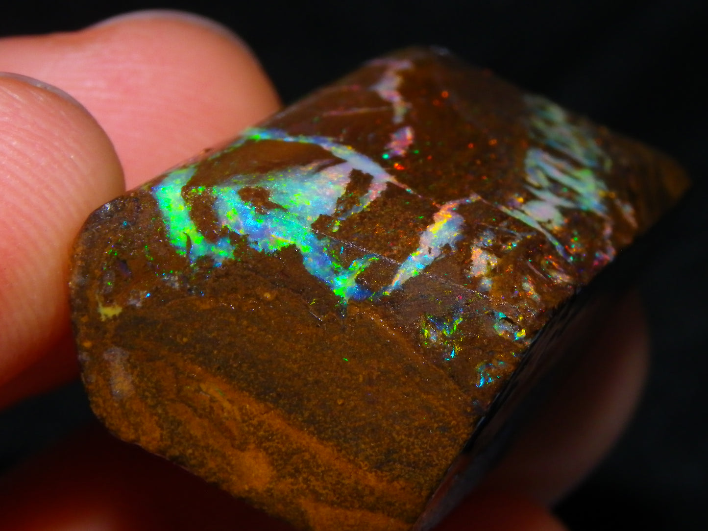 Very Nice Koroit Opal Rub/Rough 106.5cts Fossil/Pattern Gem Fires Qld Australia