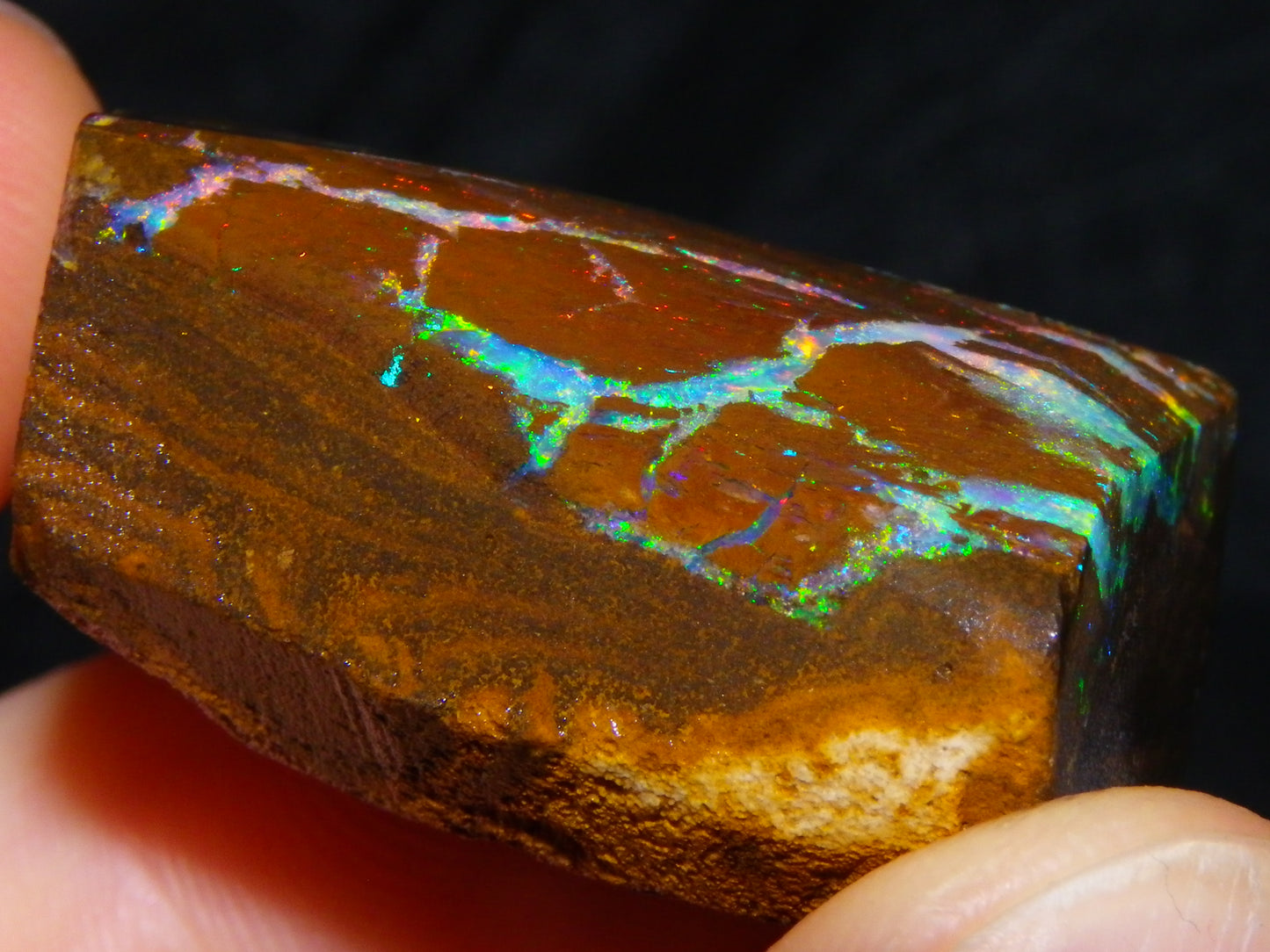 Very Nice Koroit Opal Rub/Rough 106.5cts Fossil/Pattern Gem Fires Qld Australia