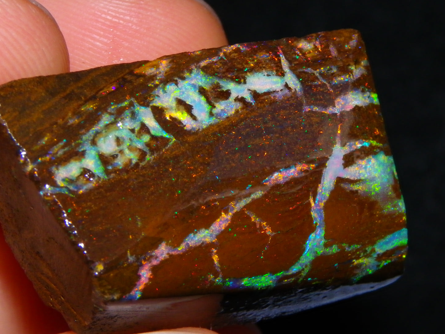 Very Nice Koroit Opal Rub/Rough 106.5cts Fossil/Pattern Gem Fires Qld Australia