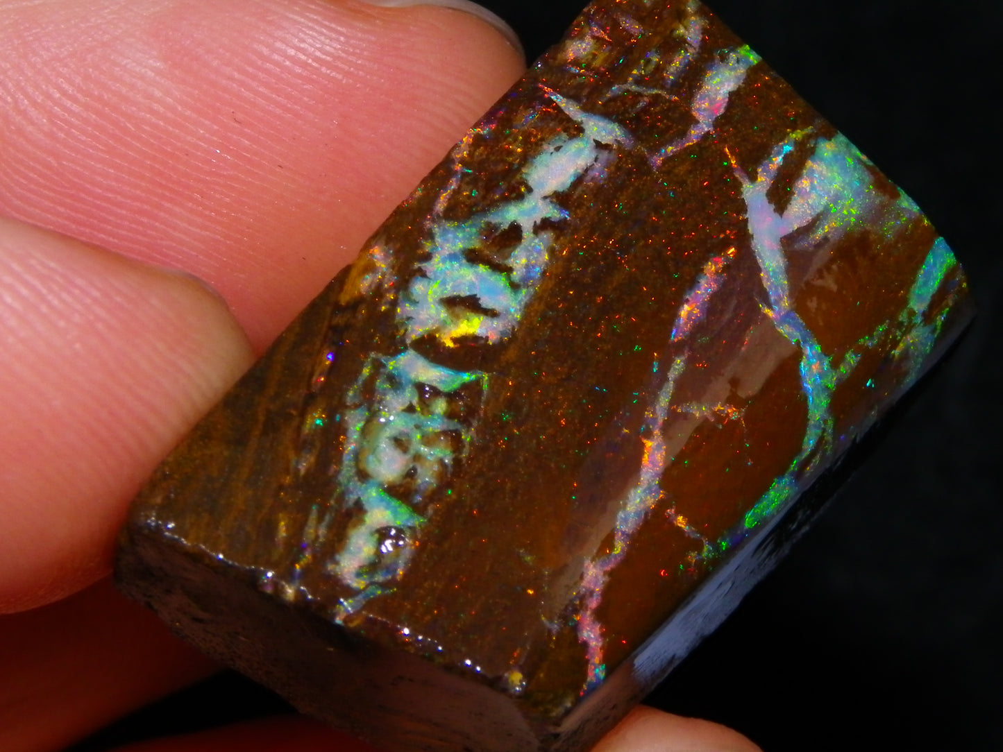 Very Nice Koroit Opal Rub/Rough 106.5cts Fossil/Pattern Gem Fires Qld Australia