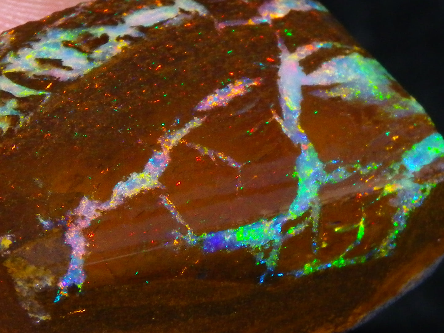 Very Nice Koroit Opal Rub/Rough 106.5cts Fossil/Pattern Gem Fires Qld Australia