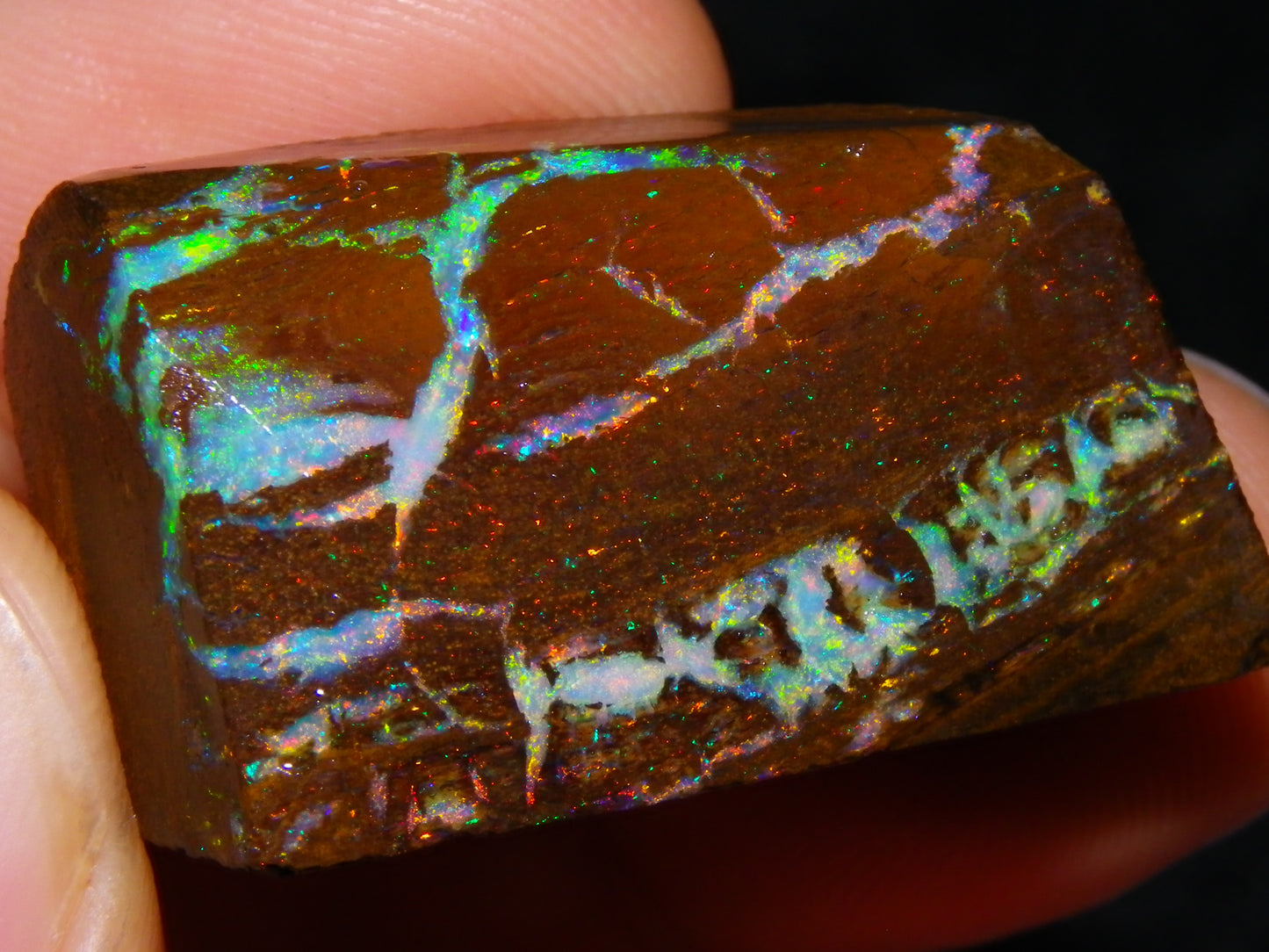 Very Nice Koroit Opal Rub/Rough 106.5cts Fossil/Pattern Gem Fires Qld Australia