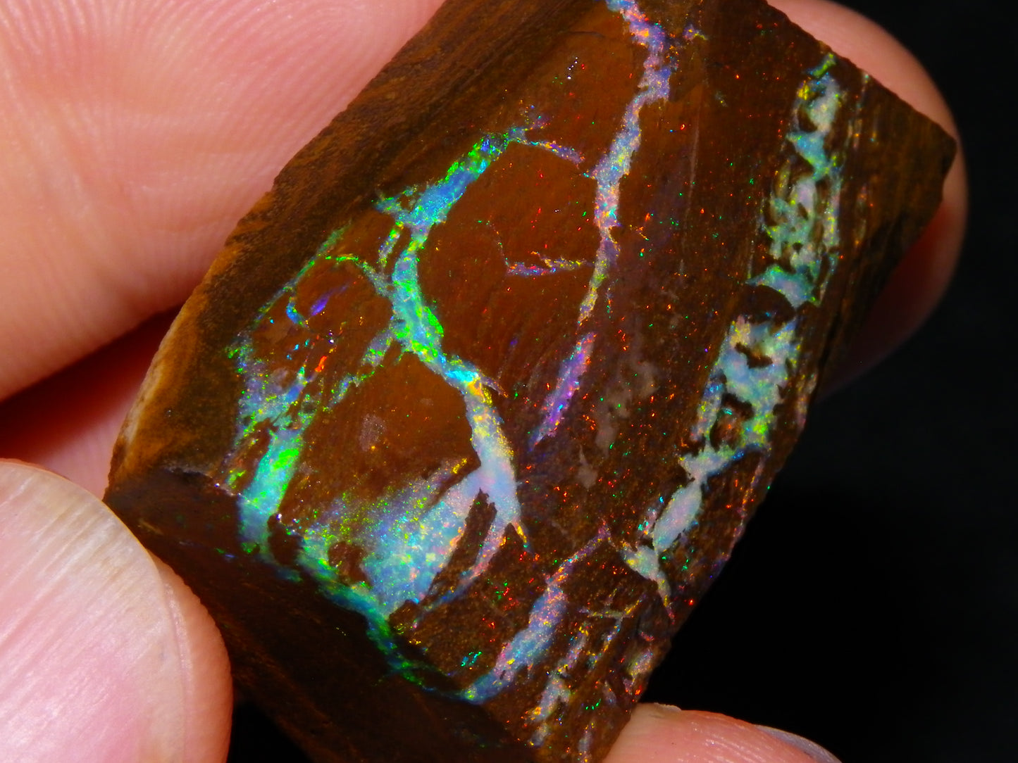 Very Nice Koroit Opal Rub/Rough 106.5cts Fossil/Pattern Gem Fires Qld Australia