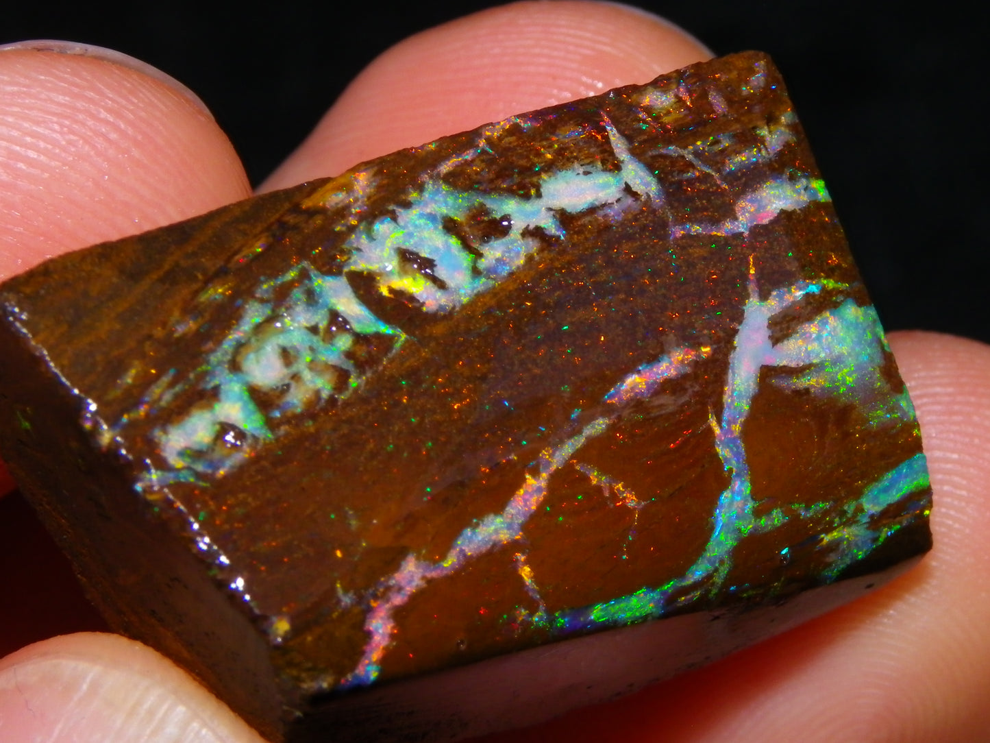 Very Nice Koroit Opal Rub/Rough 106.5cts Fossil/Pattern Gem Fires Qld Australia