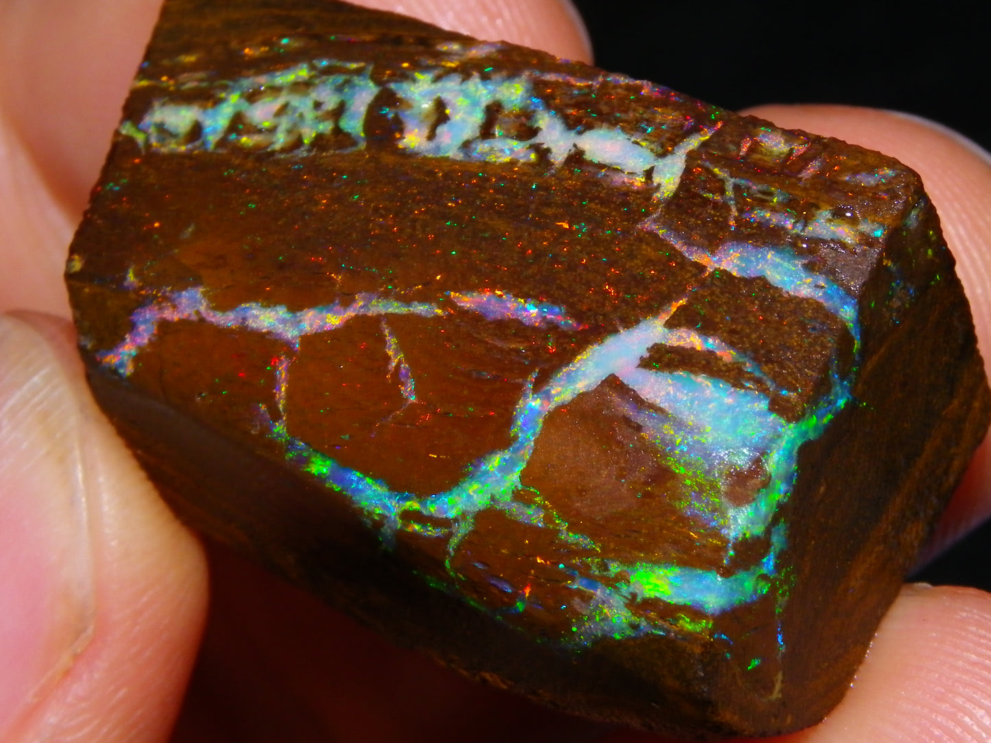 Very Nice Koroit Opal Rub/Rough 106.5cts Fossil/Pattern Gem Fires Qld Australia