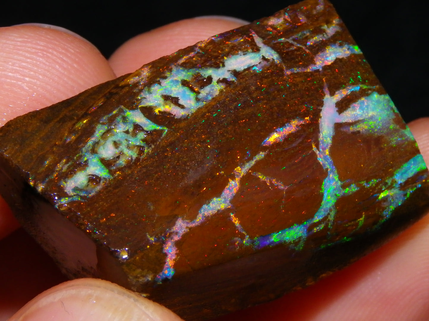 Very Nice Koroit Opal Rub/Rough 106.5cts Fossil/Pattern Gem Fires Qld Australia