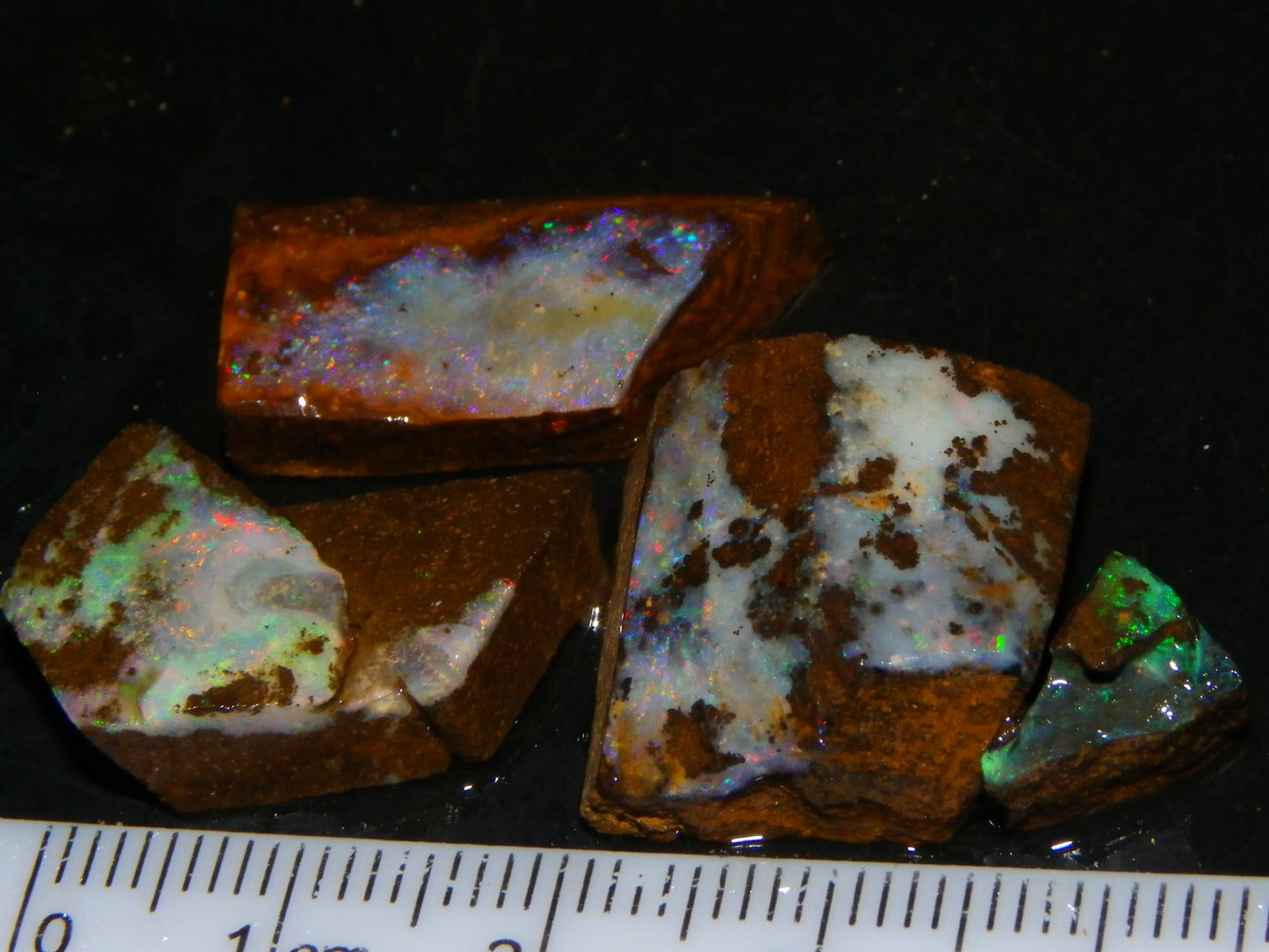 Nice Rough/Sliced/Rubbed Boulder Opal Parcel 155.6cts Queensland Australia