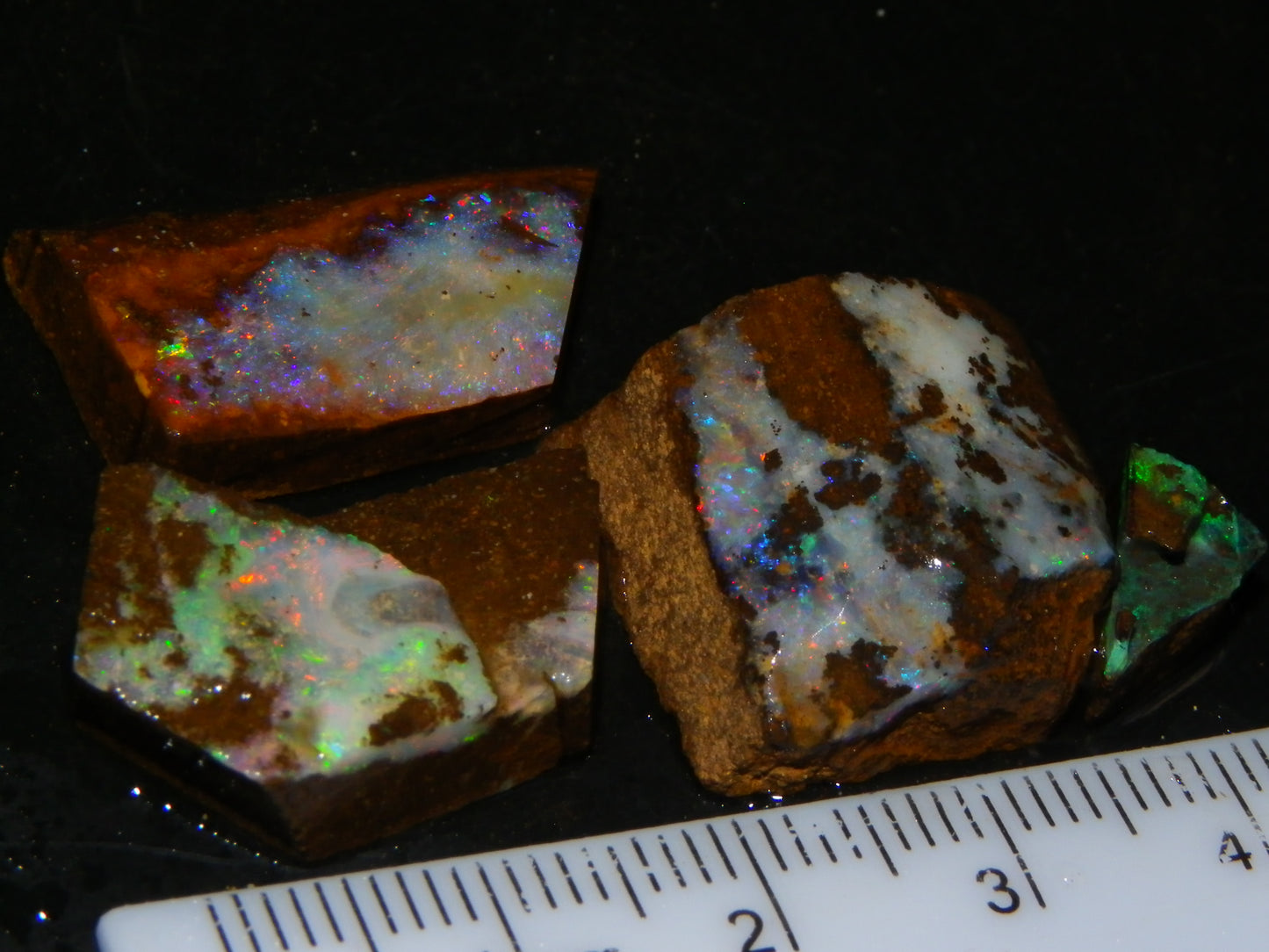 Nice Rough/Sliced/Rubbed Boulder Opal Parcel 155.6cts Queensland Australia