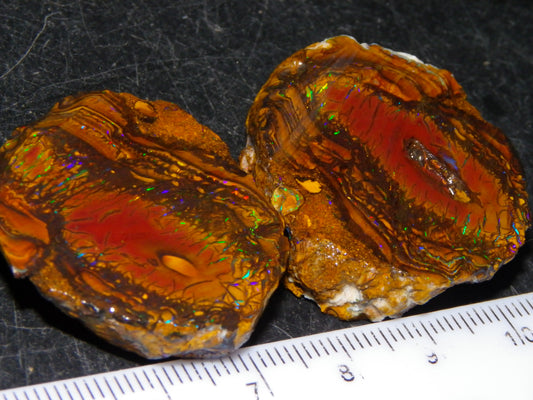 Nice Rough/Sliced Koroit Opal Parcel 148.4cts red/Green/Blue Fires Pair Qld Australia