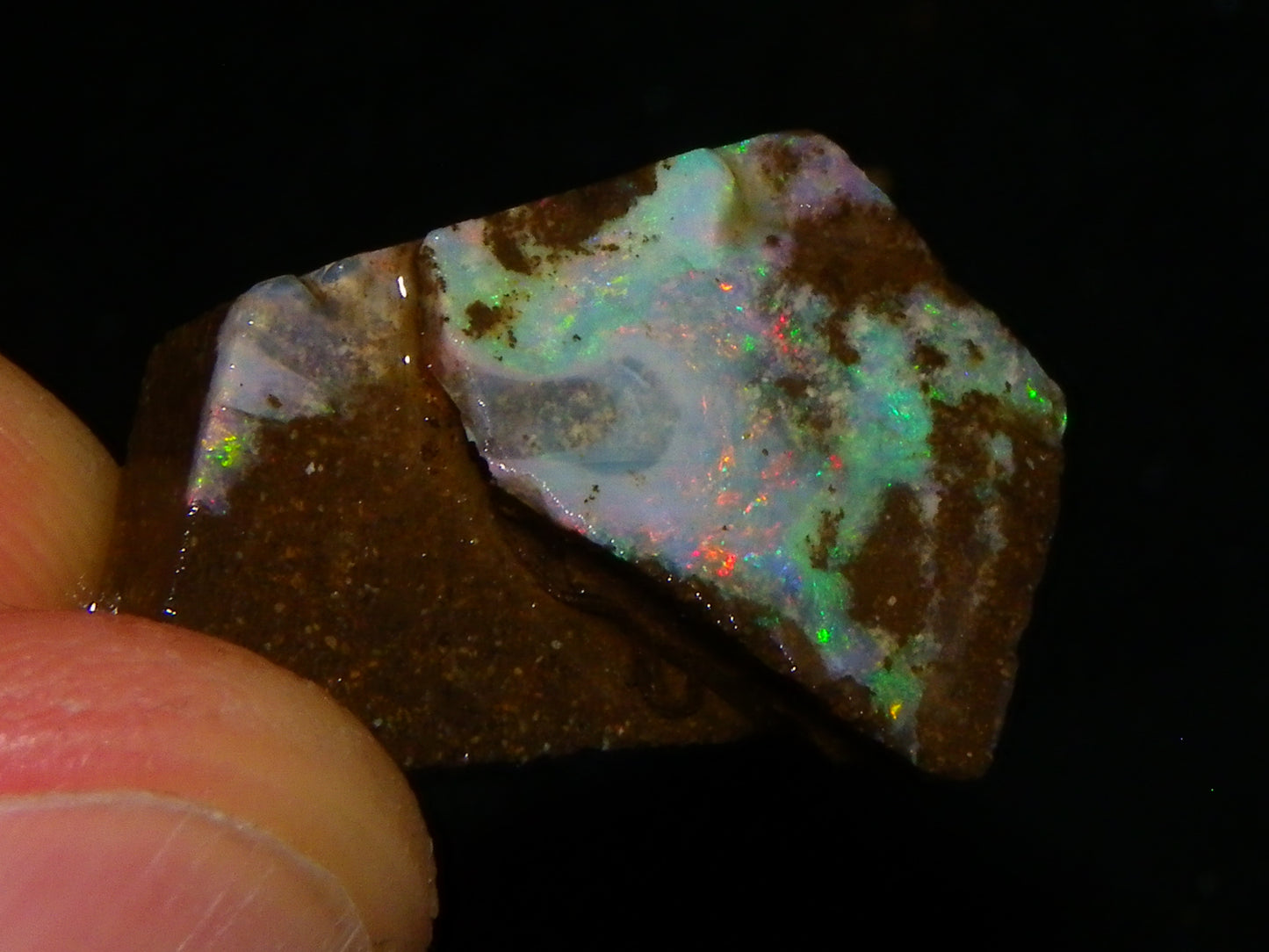 Nice Rough/Sliced/Rubbed Boulder Opal Parcel 155.6cts Queensland Australia