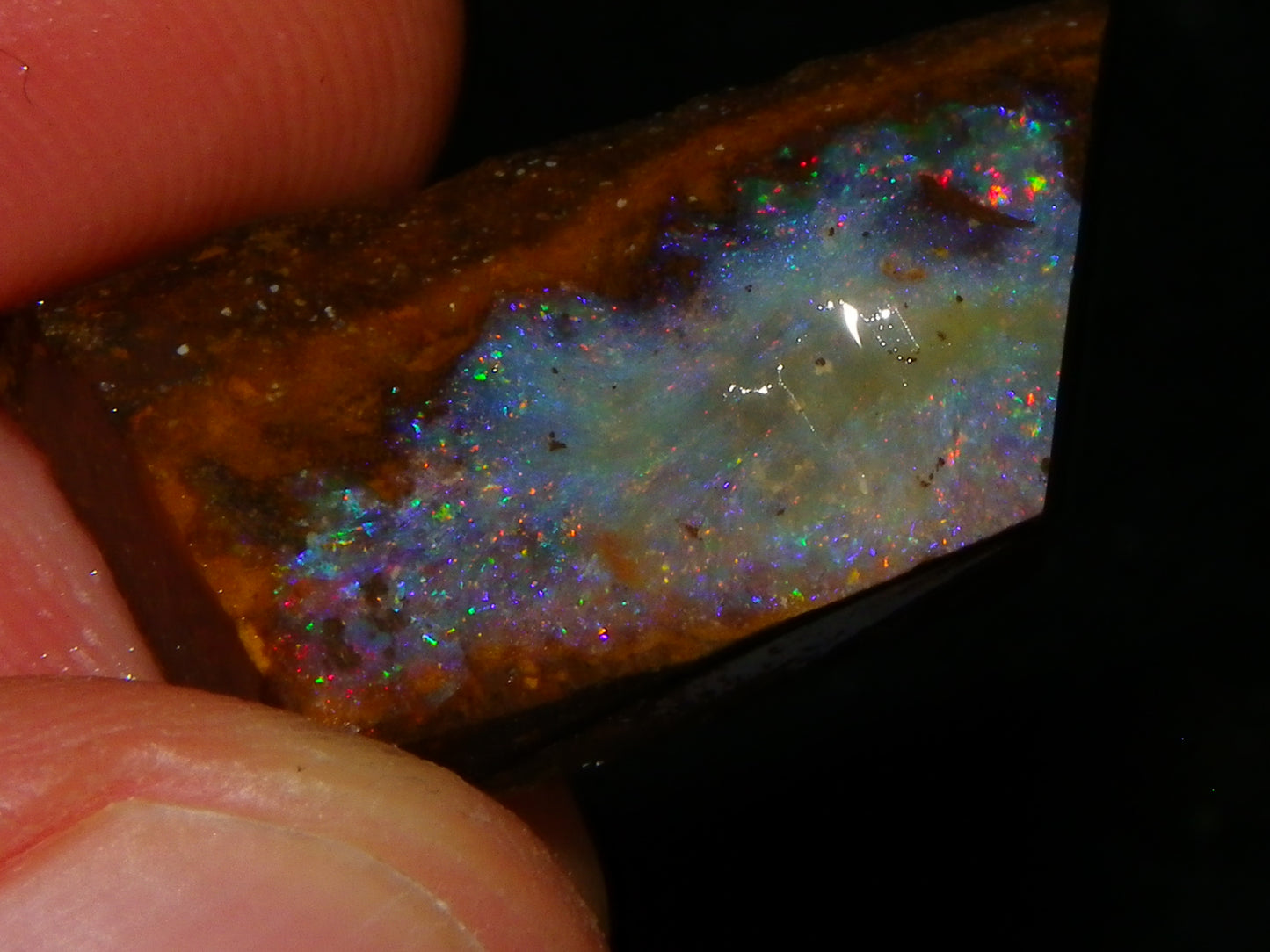 Nice Rough/Sliced/Rubbed Boulder Opal Parcel 155.6cts Queensland Australia