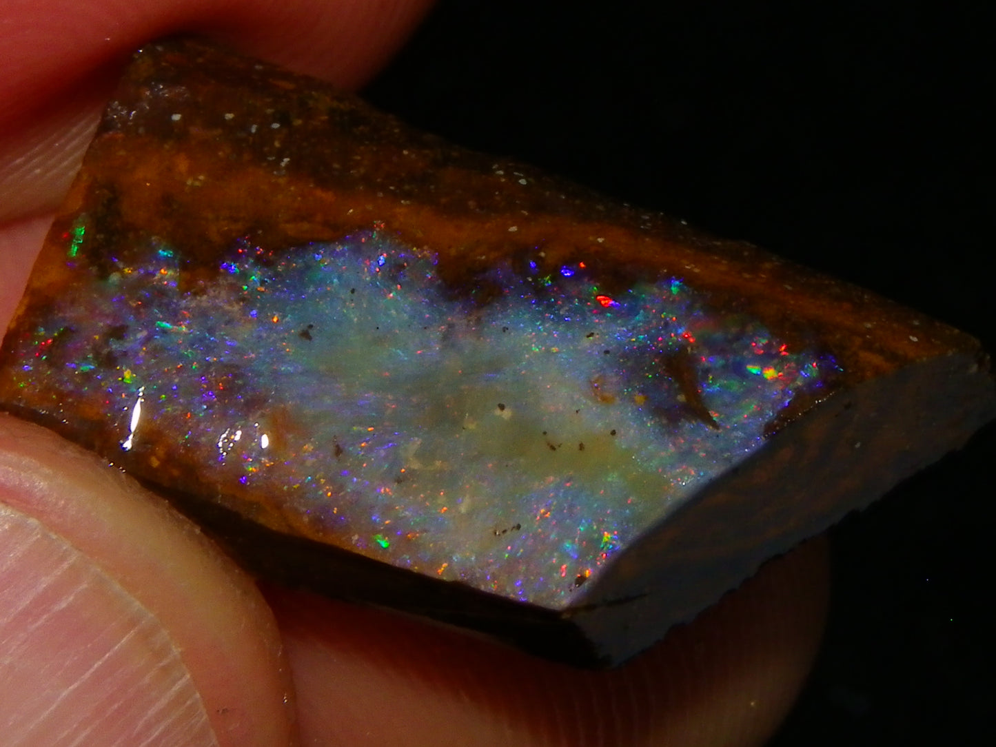 Nice Rough/Sliced/Rubbed Boulder Opal Parcel 155.6cts Queensland Australia