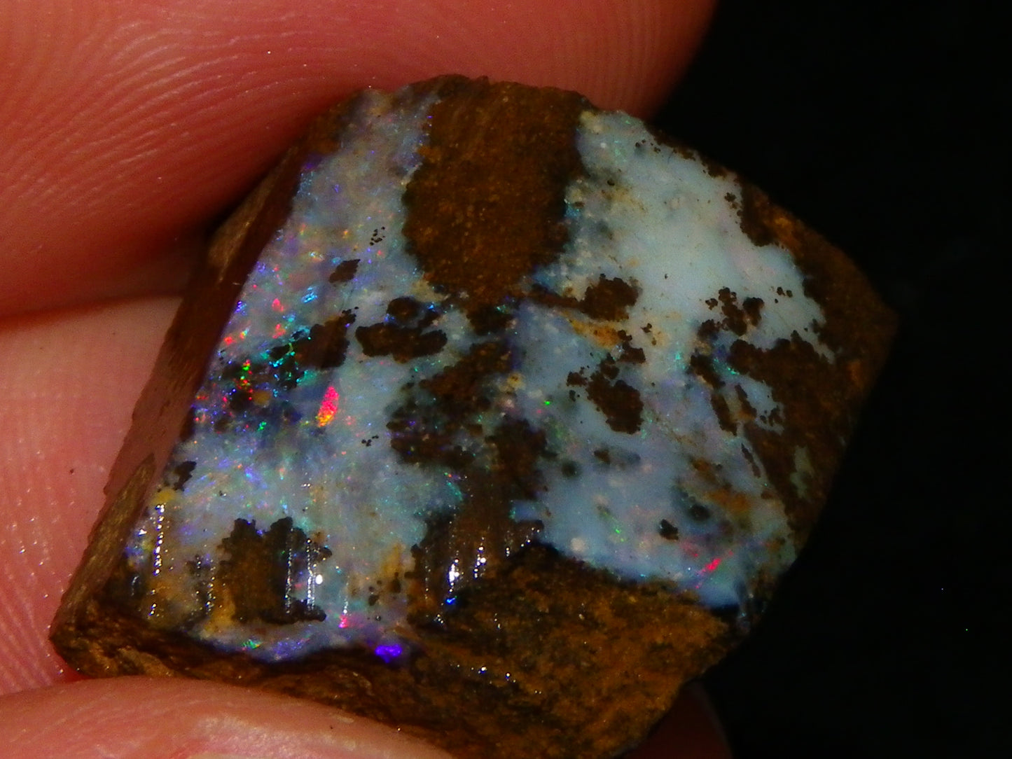 Nice Rough/Sliced/Rubbed Boulder Opal Parcel 155.6cts Queensland Australia