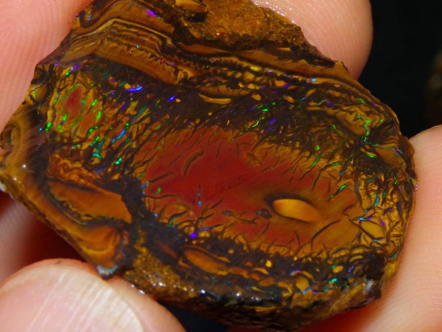 Nice Rough/Sliced Koroit Opal Parcel 148.4cts red/Green/Blue Fires Pair Qld Australia