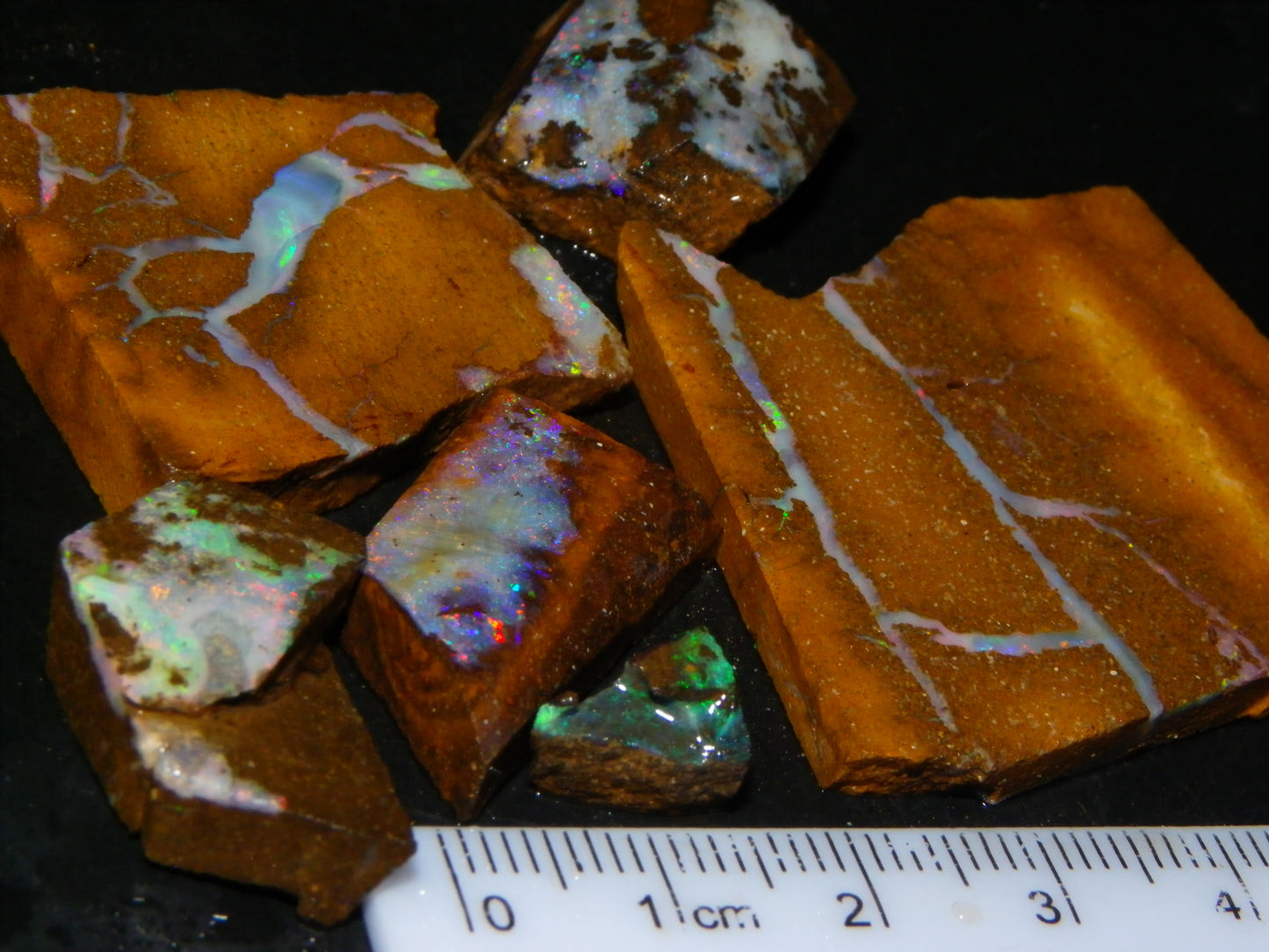 Nice Rough/Sliced/Rubbed Boulder Opal Parcel 155.6cts Queensland Australia