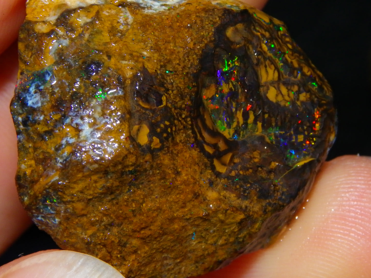 Nice Rough/Sliced Koroit Opal Parcel 148.4cts red/Green/Blue Fires Pair Qld Australia