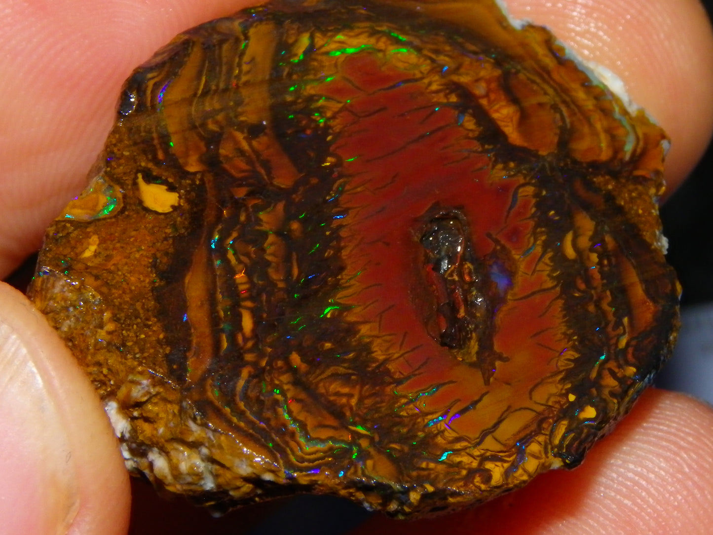 Nice Rough/Sliced Koroit Opal Parcel 148.4cts red/Green/Blue Fires Pair Qld Australia