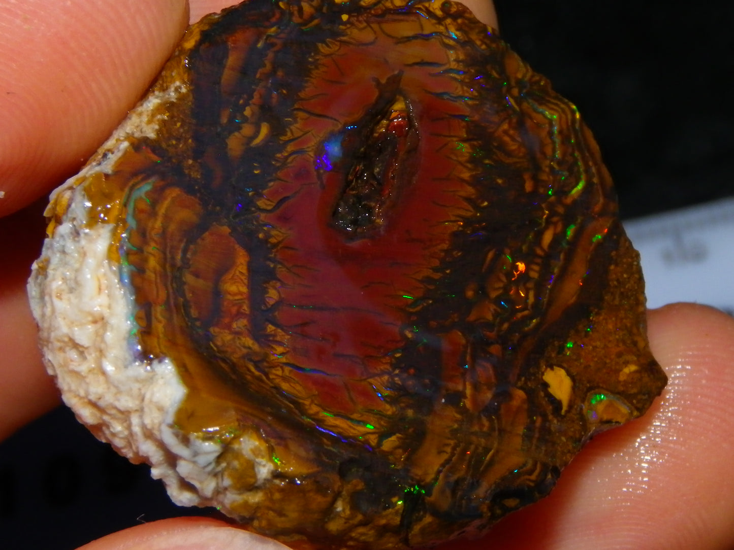 Nice Rough/Sliced Koroit Opal Parcel 148.4cts red/Green/Blue Fires Pair Qld Australia