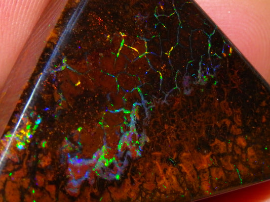 Quality Koroit Opal Freeform Cab 86.07cts Red/Gold/Green Fires Queensland Australia (Video)