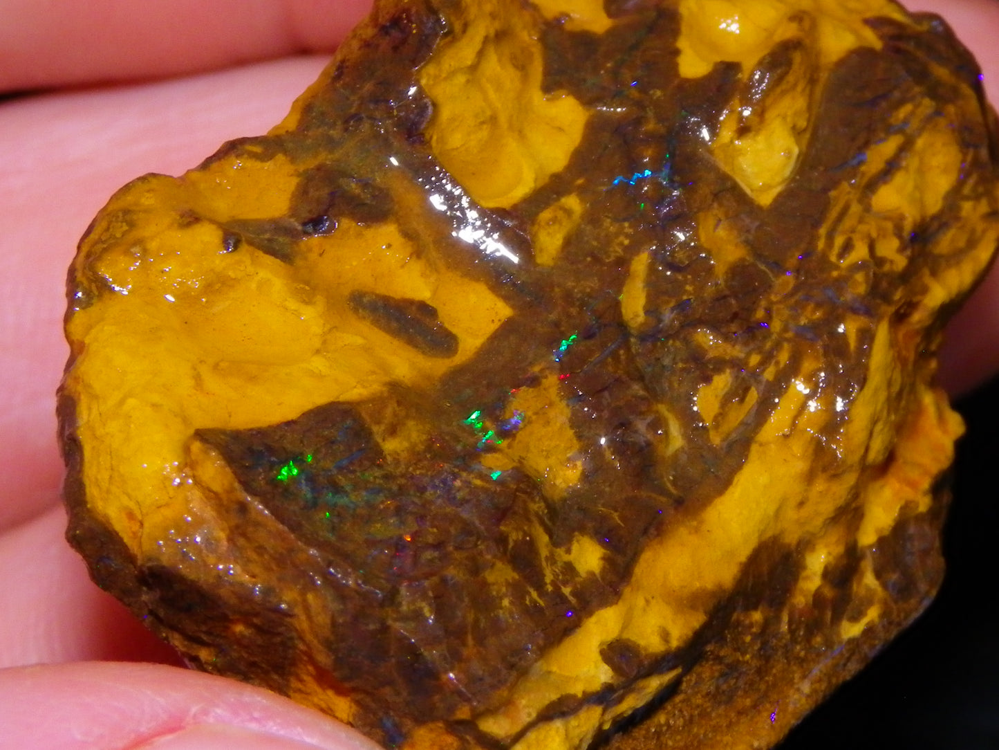 Nice Rough/Sliced Koroit/Matrix Opal Parcel 342.2cts Queensland Australia