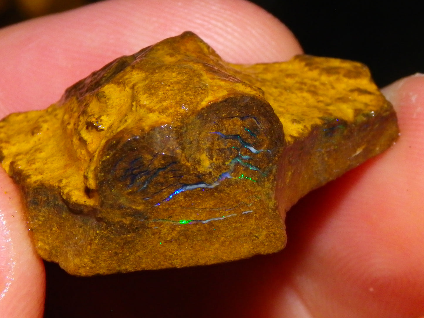 Nice Rough/Sliced Koroit/Matrix Opal Parcel 342.2cts Queensland Australia