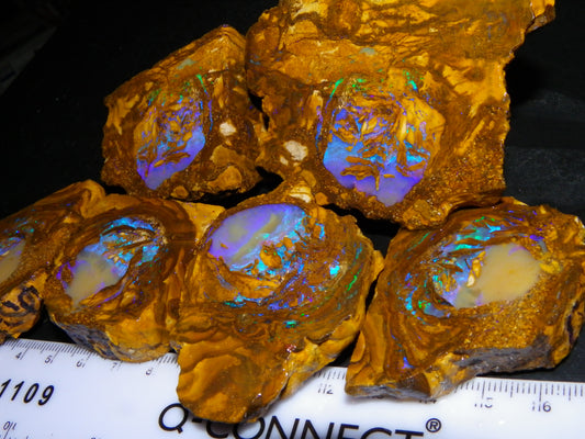 Very Nice Qld Pipe Opal Rough Slice Parcel/Set 2240cts Blue/Green/Purple Collectors lot 6 Piece
