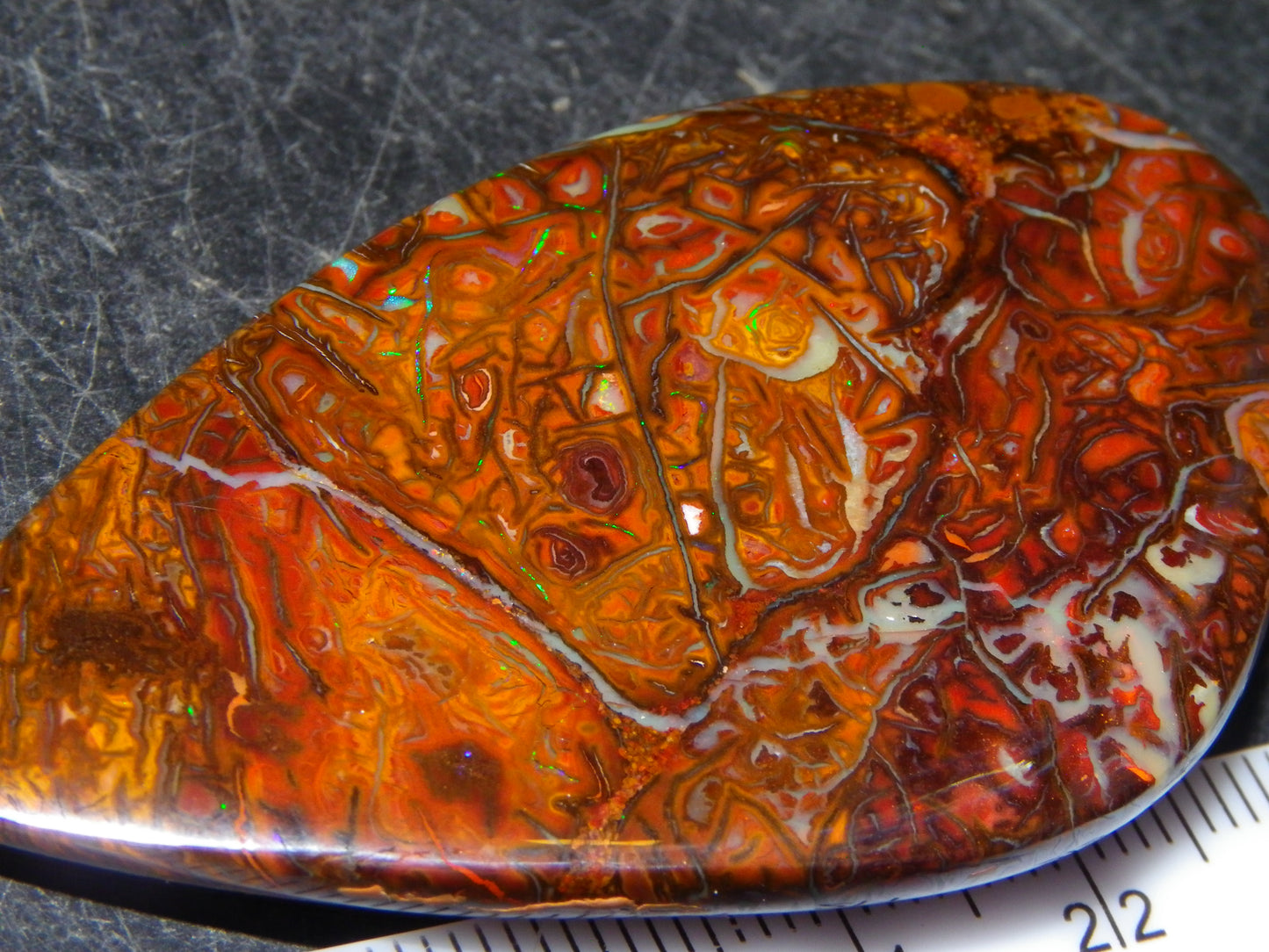 Nice Quality Cut/Polished Koroit Opal Cab/Freeform 115.3cts Gem Greens Queensland