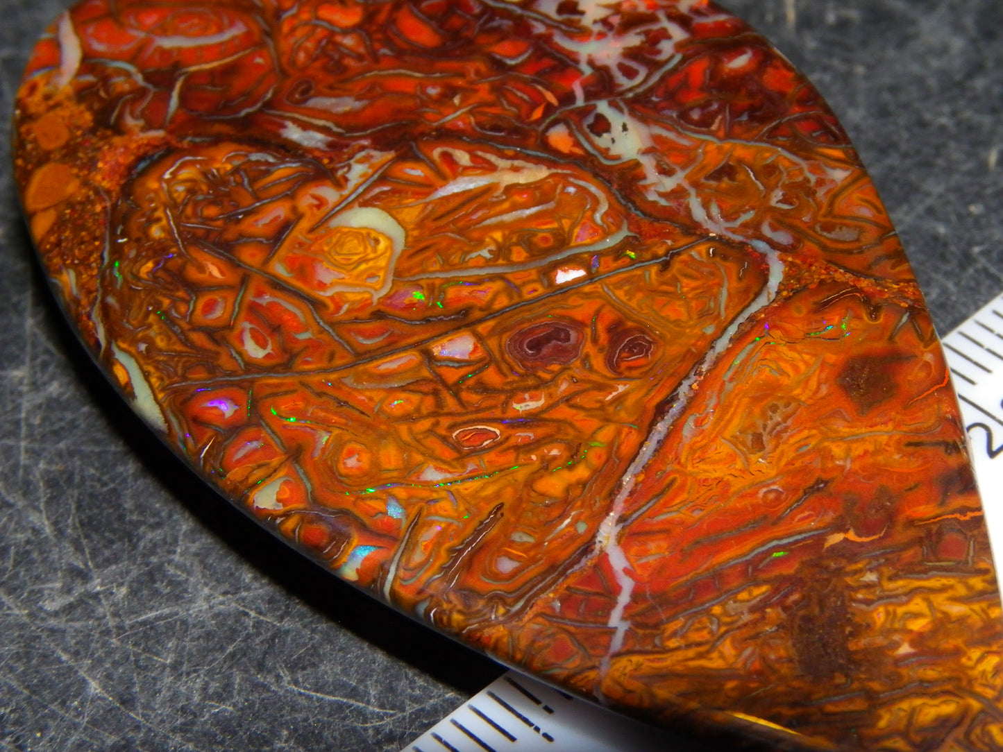 Nice Quality Cut/Polished Koroit Opal Cab/Freeform 115.3cts Gem Greens Queensland