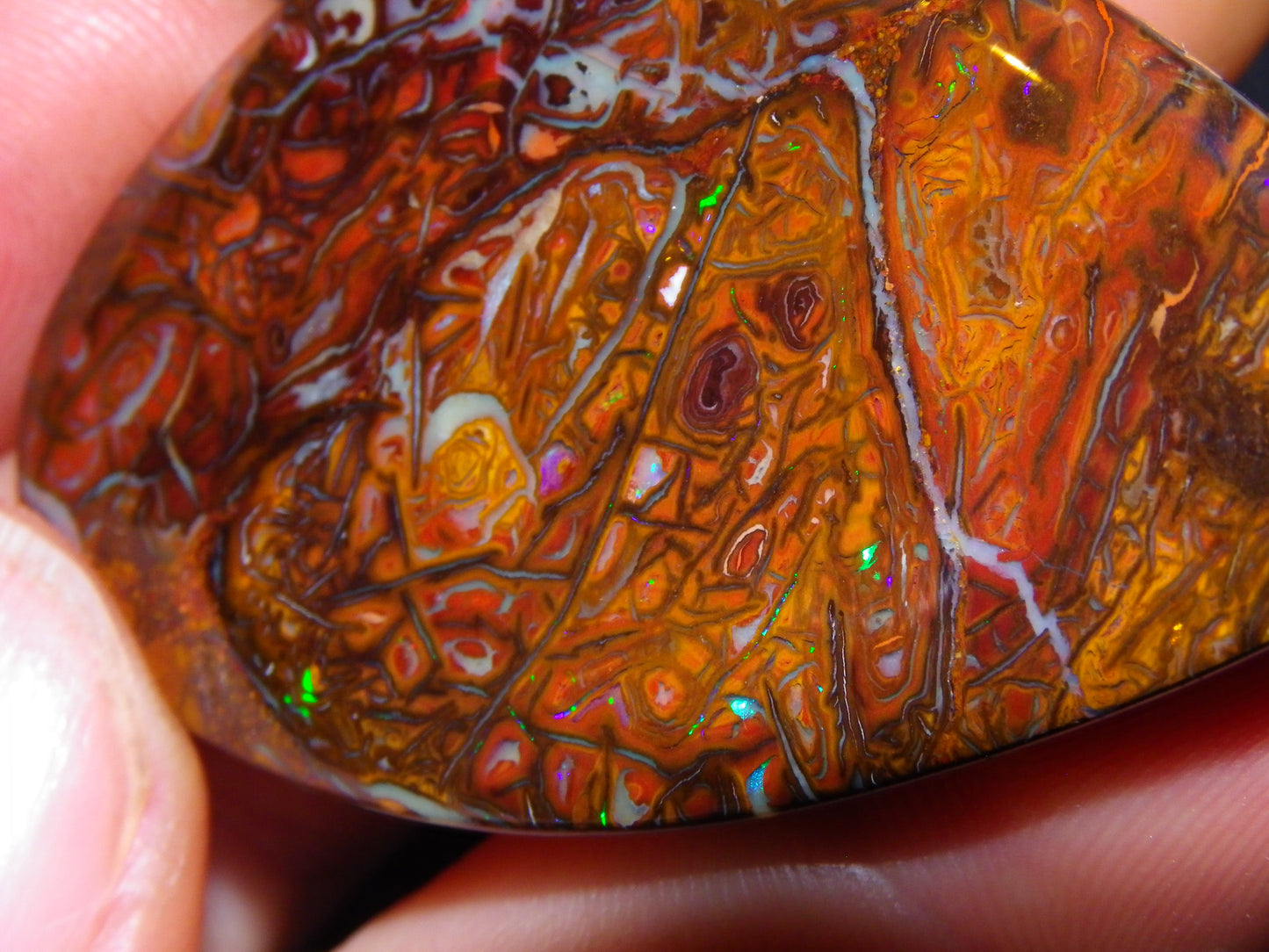 Nice Quality Cut/Polished Koroit Opal Cab/Freeform 115.3cts Gem Greens Queensland