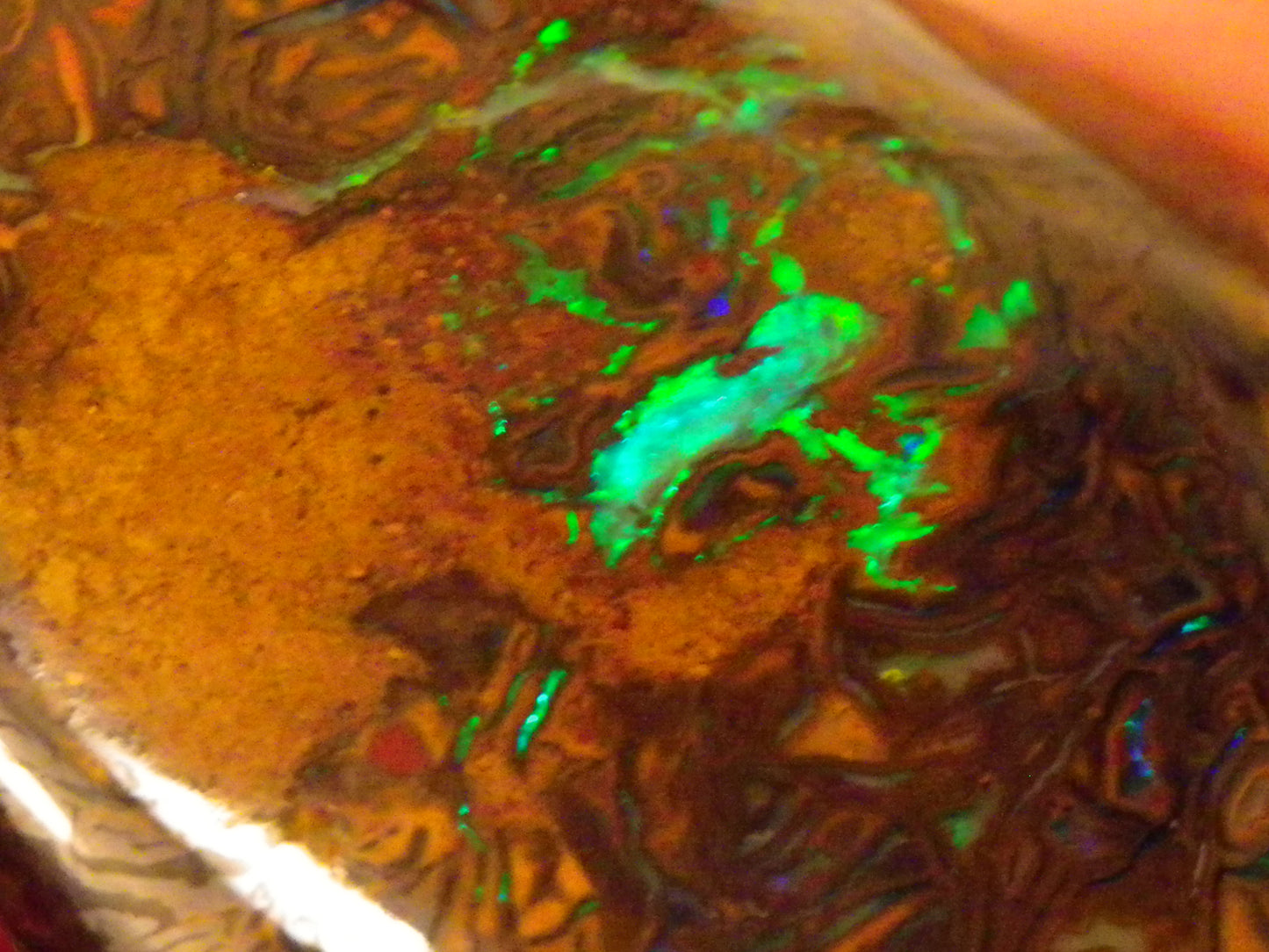 Nice Quality Cut/Polished Koroit Opal Cab/Freeform 115.3cts Gem Greens Queensland