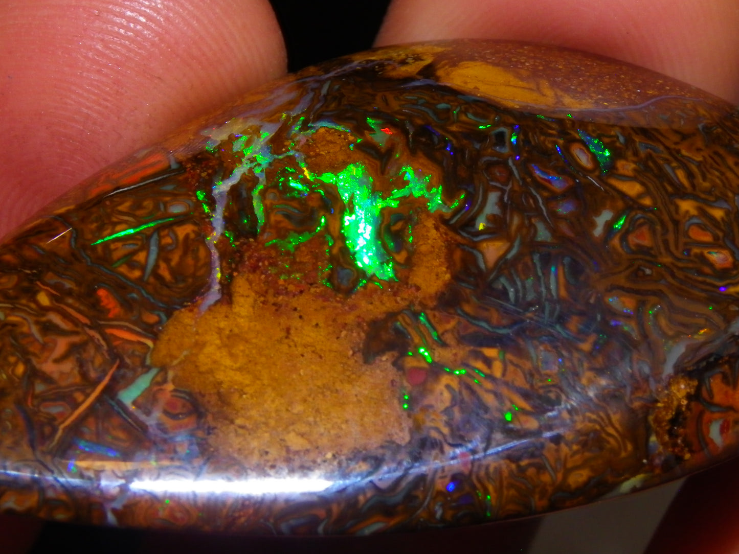 Nice Quality Cut/Polished Koroit Opal Cab/Freeform 115.3cts Gem Greens Queensland