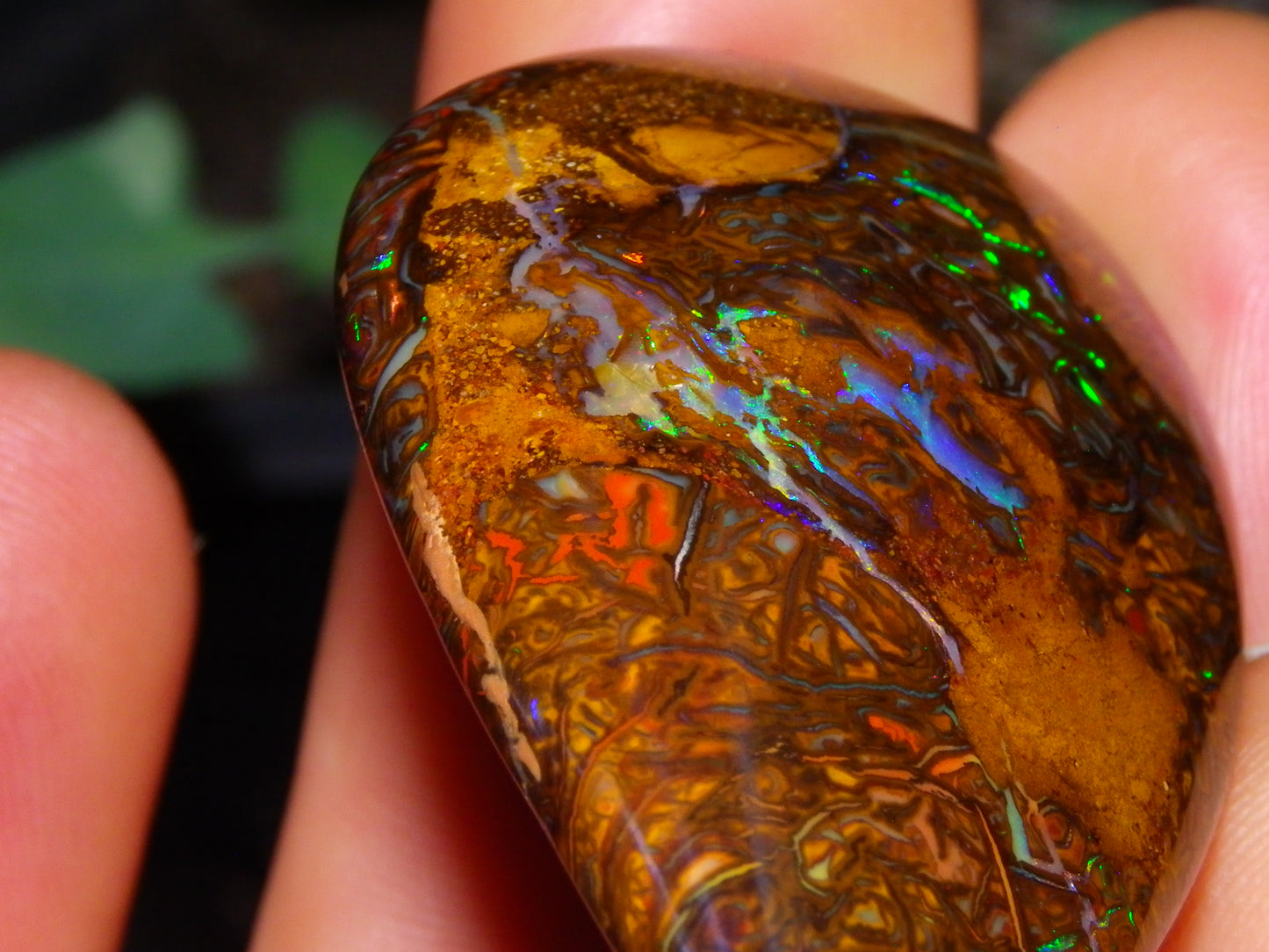 Nice Quality Cut/Polished Koroit Opal Cab/Freeform 115.3cts Gem Greens Queensland