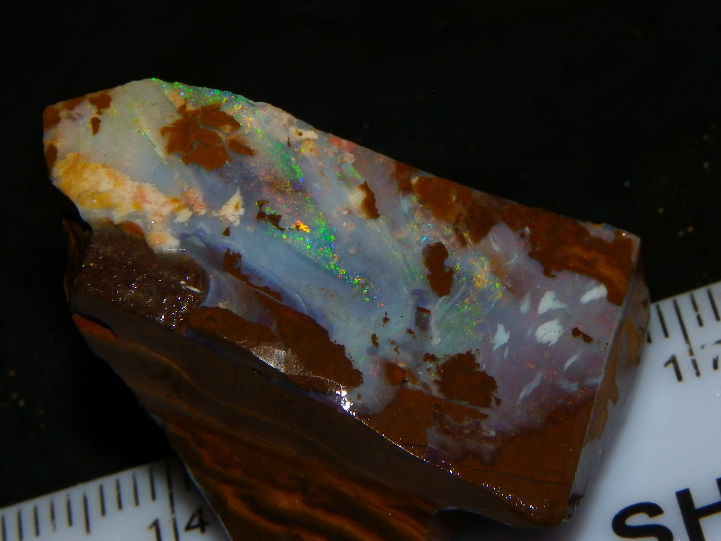 Nice Sliced/Rubbed Boulder Opal Rough Parcel 1060cts Queensland Australia