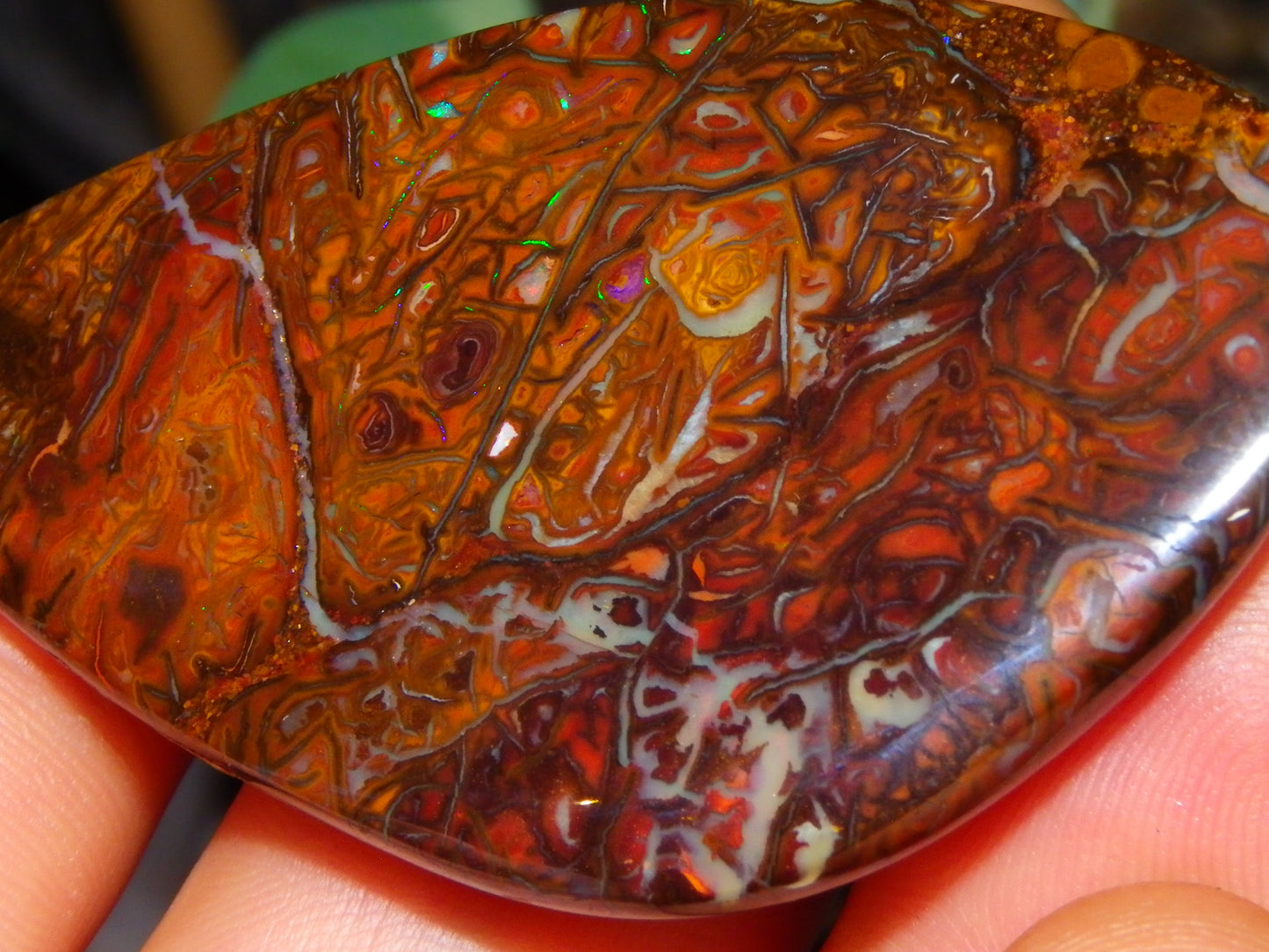 Nice Quality Cut/Polished Koroit Opal Cab/Freeform 115.3cts Gem Greens Queensland