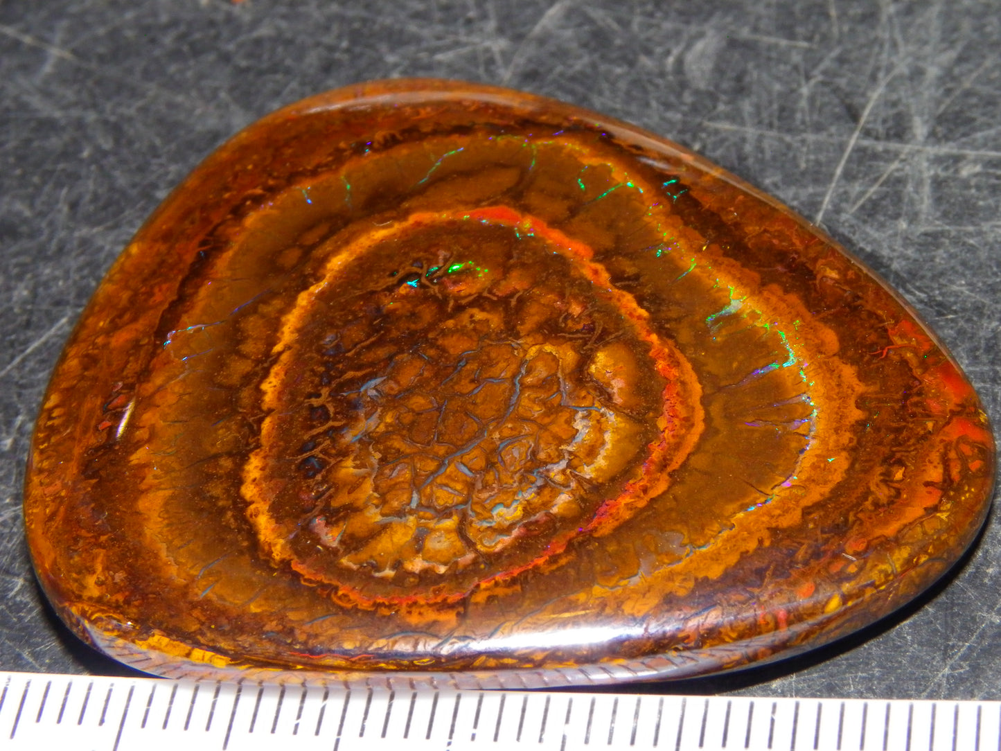 Nice Koroit Opal Nut/Cab/Freeform 115.5cts Green Fires/veins Queensland Australia