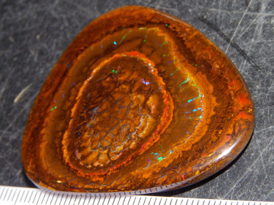 Nice Koroit Opal Nut/Cab/Freeform 115.5cts Green Fires/veins Queensland Australia