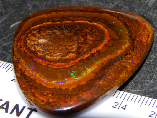 Nice Koroit Opal Nut/Cab/Freeform 115.5cts Green Fires/veins Queensland Australia