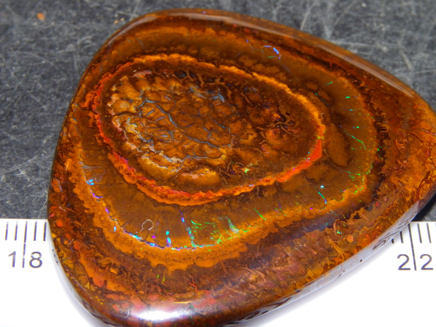 Nice Koroit Opal Nut/Cab/Freeform 115.5cts Green Fires/veins Queensland Australia